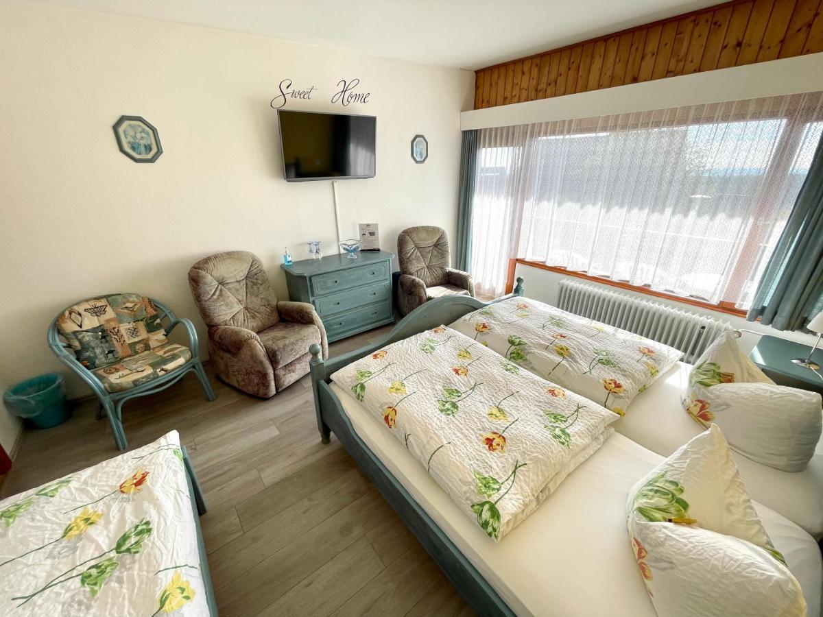 Hotel Charlott Eisenbach  Zewnętrze zdjęcie