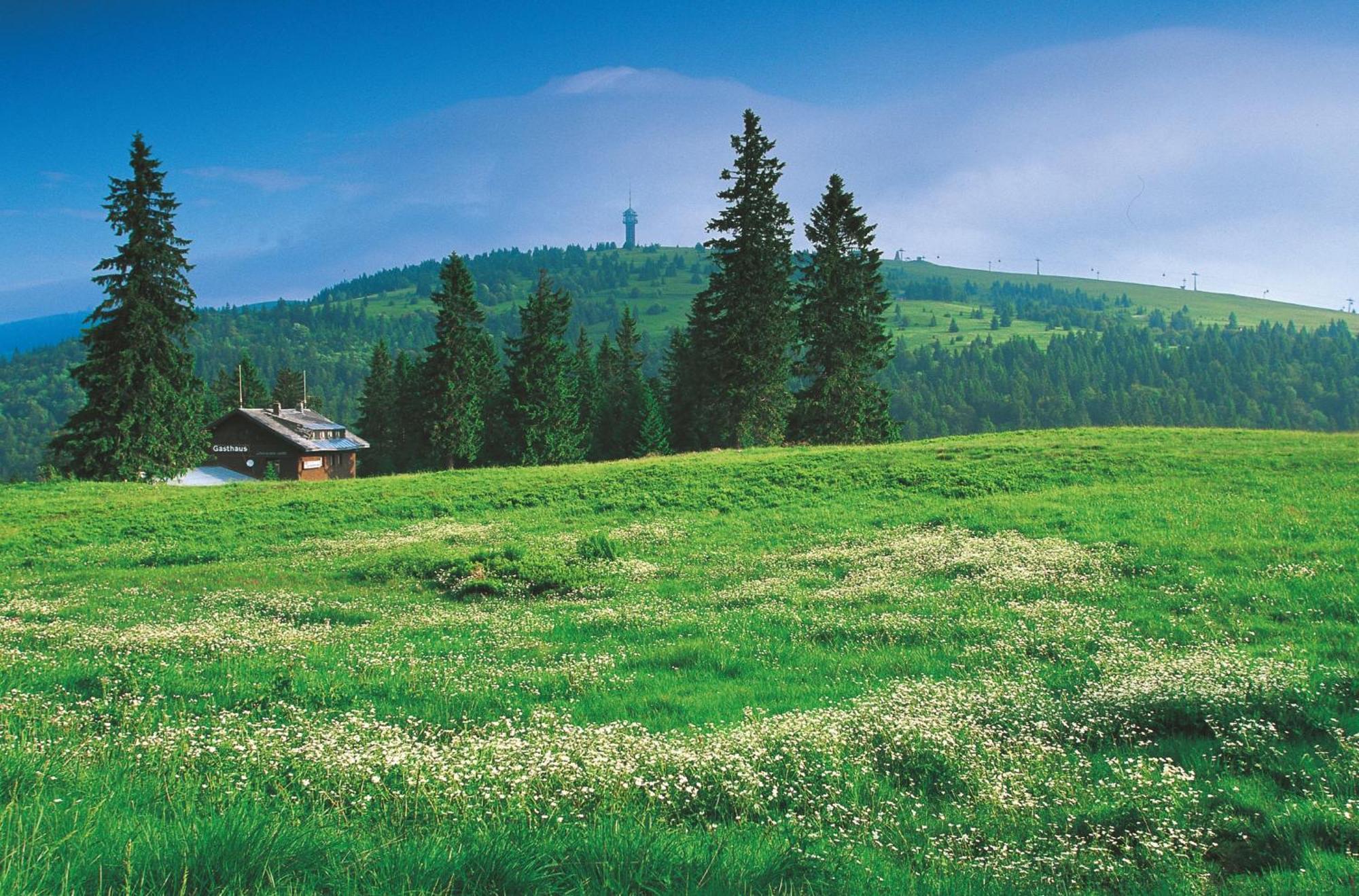 Hotel Charlott Eisenbach  Zewnętrze zdjęcie